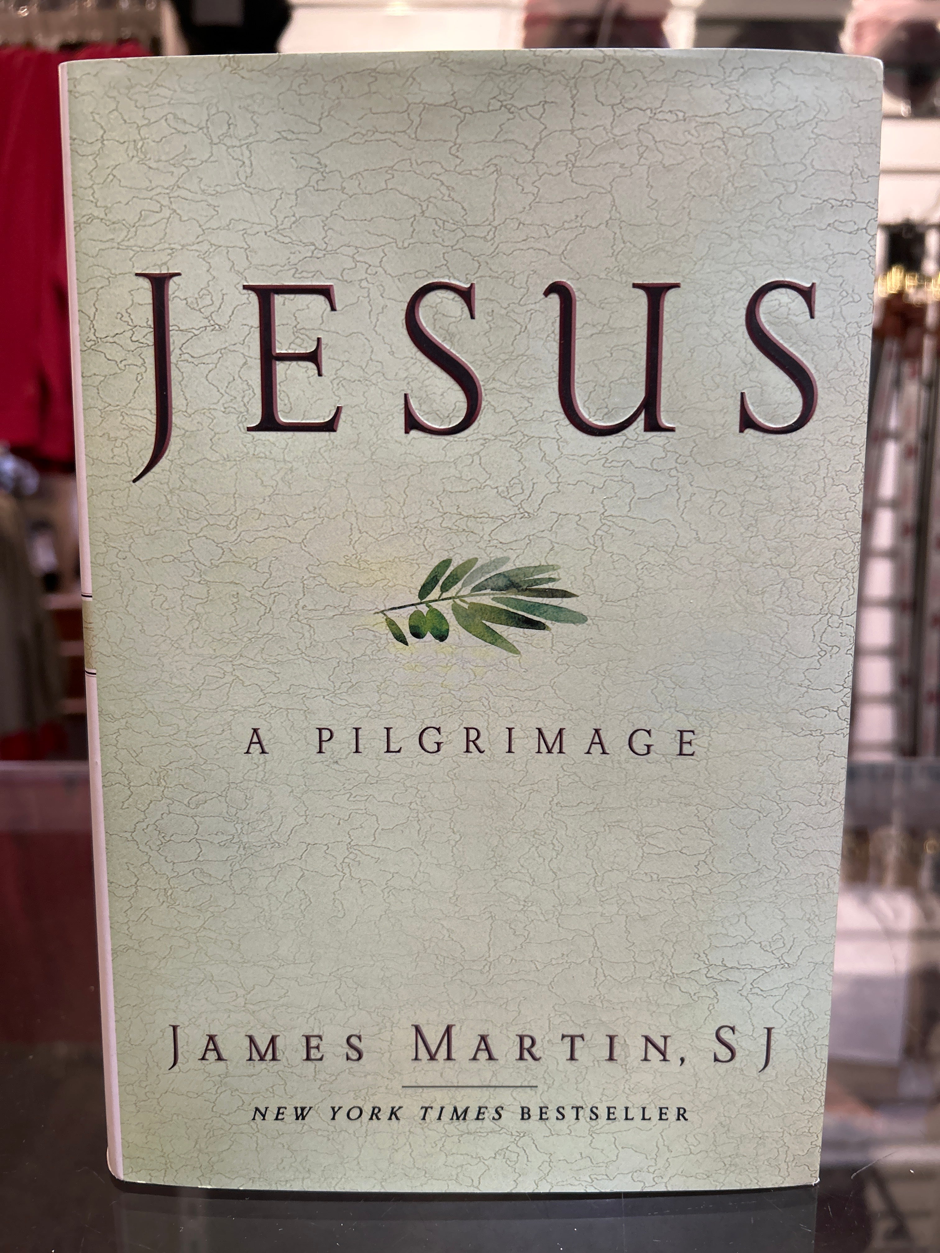 Jesus-A Pilgrimage